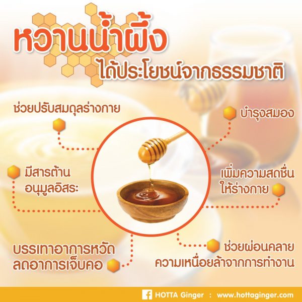 HOTTA เครื่องดื่มสมุนไพรขิงผงสำเร็จรูป ขิงผงต้นตำรับผสมน้ำผึ้ง ขนาด 40 ซอง แพ็คประหยัด! - Image 3