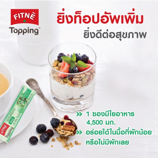 FITNE’ Topping Fiber ฟิตเน่ ท็อปปิ้ง ผลิตภัณฑ์เสริมอาหารไฟเบอร์ 4,500 มก.ขนาด 8 ซอง x 3 ถุง - Image 4