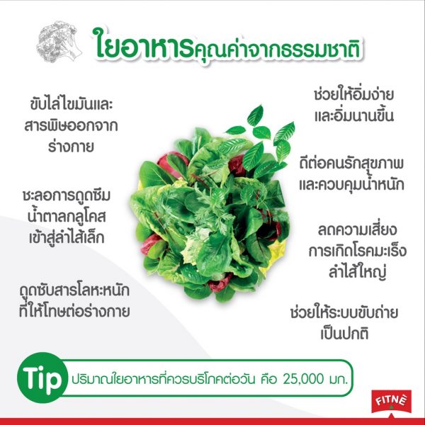 FITNE’ Topping Fiber ฟิตเน่ ท็อปปิ้ง ผลิตภัณฑ์เสริมอาหารไฟเบอร์ 4,500 มก.ขนาด 8 ซอง x 3 ถุง - Image 5