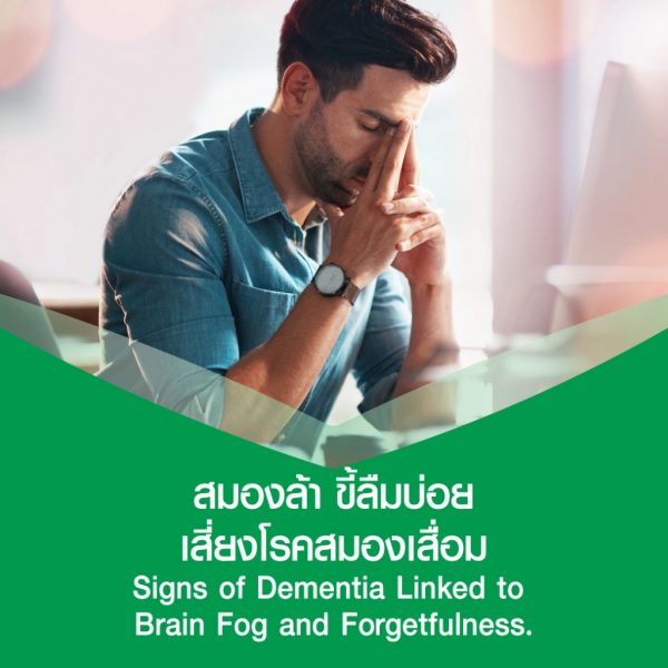 LIV&FIT ลีฟแอนด์ฟิต สารสกัดจากพรมมิ 300 มก. และสารสกัดจากโสม ผลิตภัณฑ์เสริมอาหาร 30 แคปซูล - Image 3