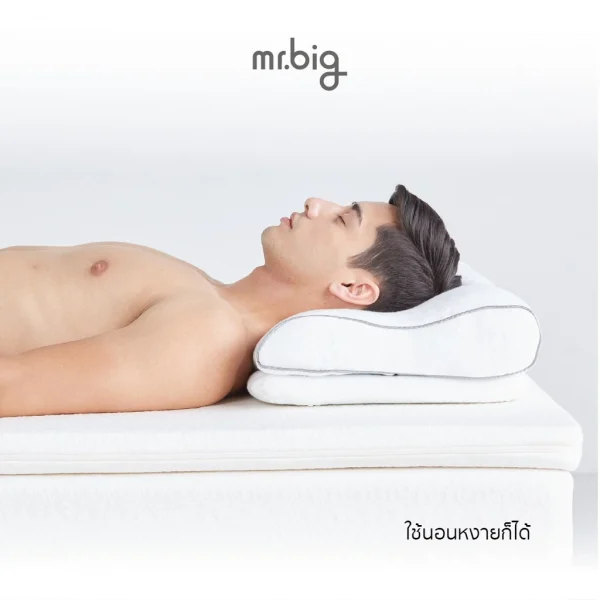 mr.big Orthocurve Pillow หมอนหนุน Ergonomic รุ่นออโธเคิฟ หมอนหนุนปรับระดับได้