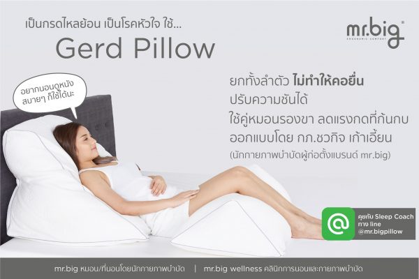 mr.big GERD Pillow หมอน Ergonomic สำหรับผู้ป่วยกรดไหลย้อน ปรับระดับได้ พร้อมปลอกถอดซักได้ - Image 10